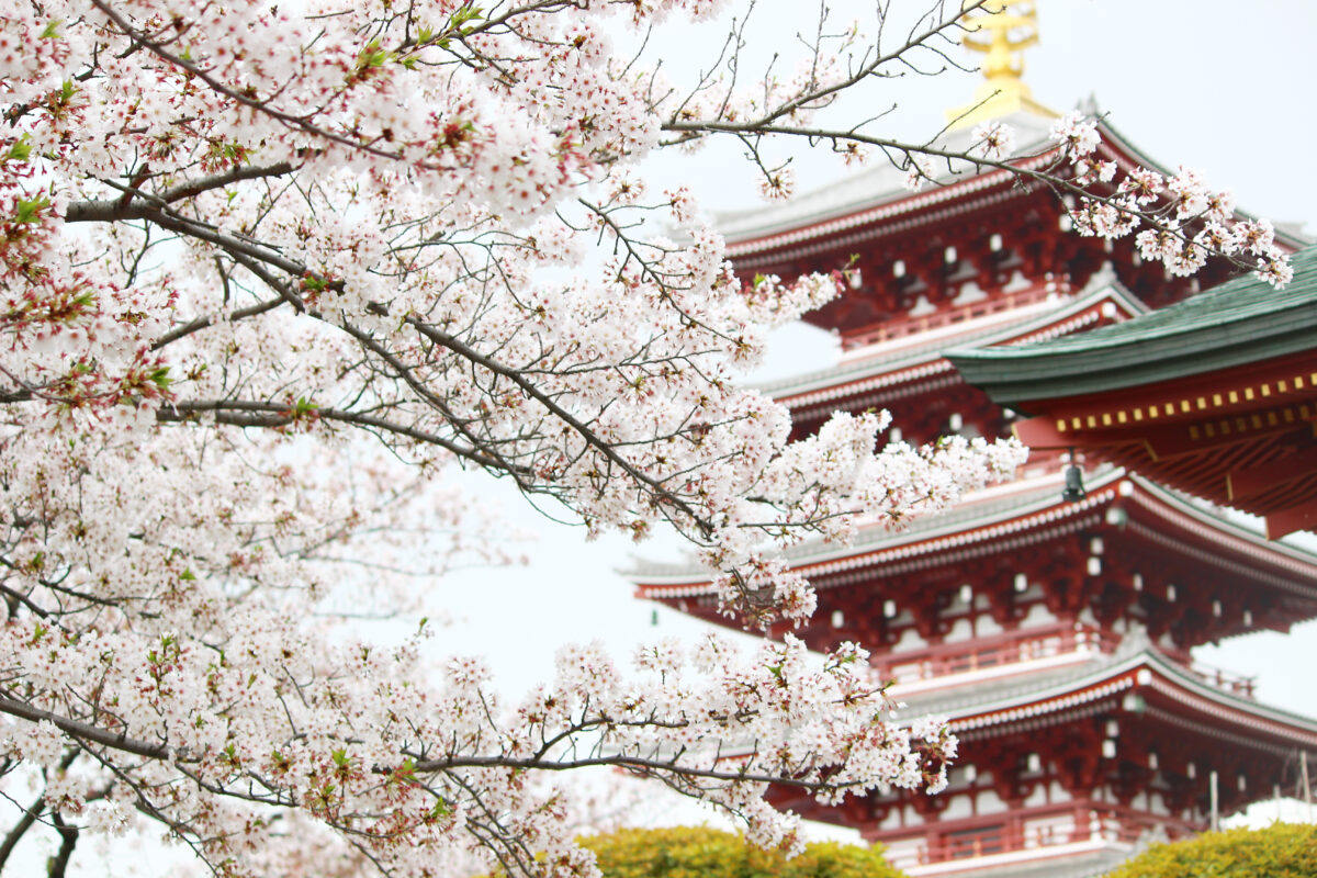 Asakusa Temple in Tokyo